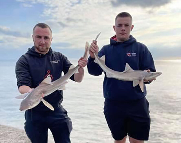 Joe and Liam with Gynn Wall hounds