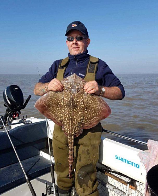 ray caught off Essex beaches