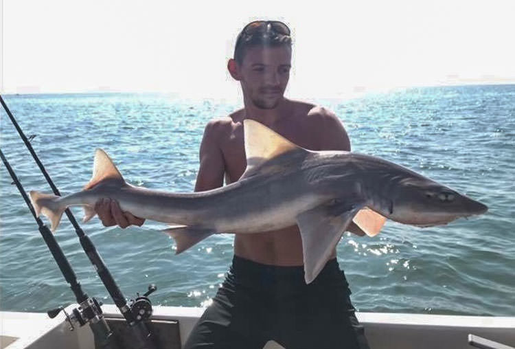 Wyre Boat Angling Club member Adam McKell with a decent smoothhound