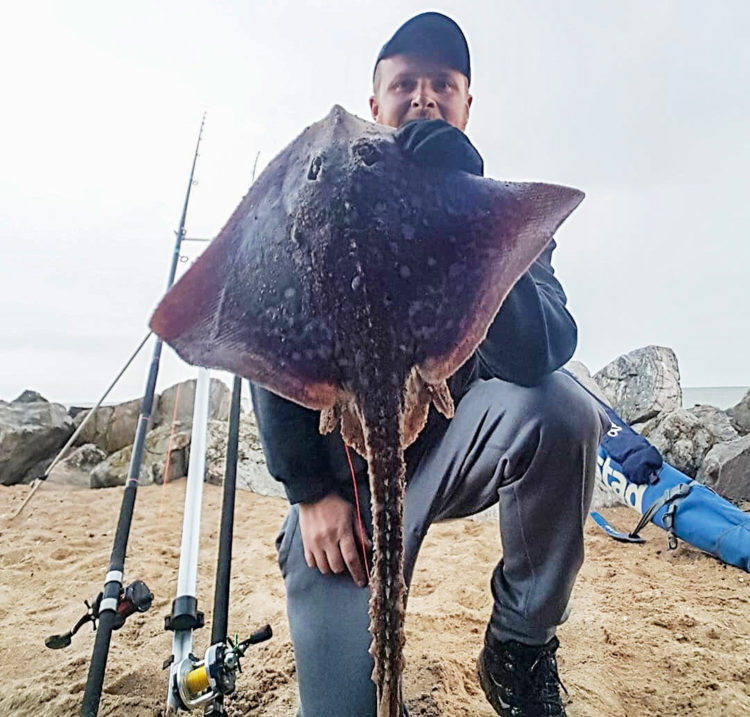 Matt Clark with a thornback ray